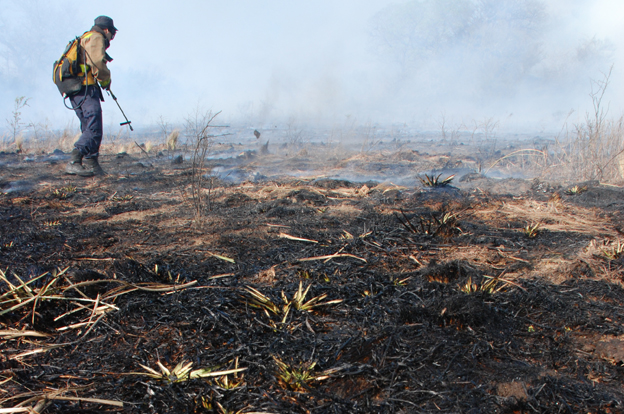 Incendios controlados