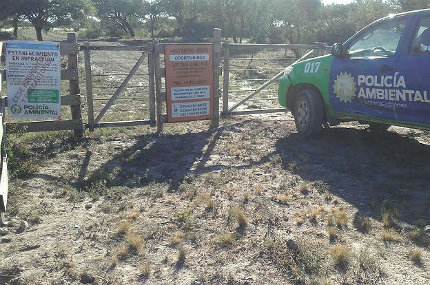 Desmonte Policia Ambiental Ambul