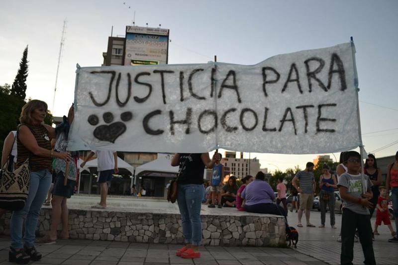 justicia para chocolate 1