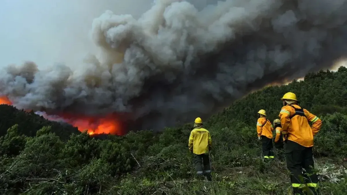 Incendio en Bariloche (gentileza)