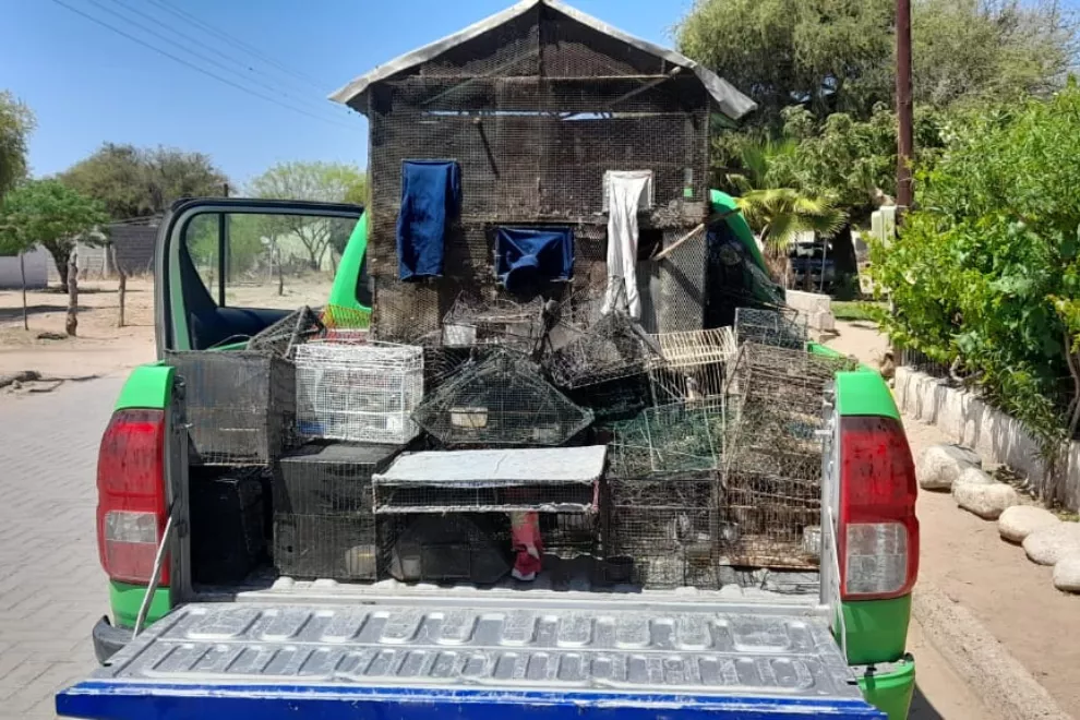 Rescate de aves en cautiverio (Prensa Gobierno de Córdoba) 01