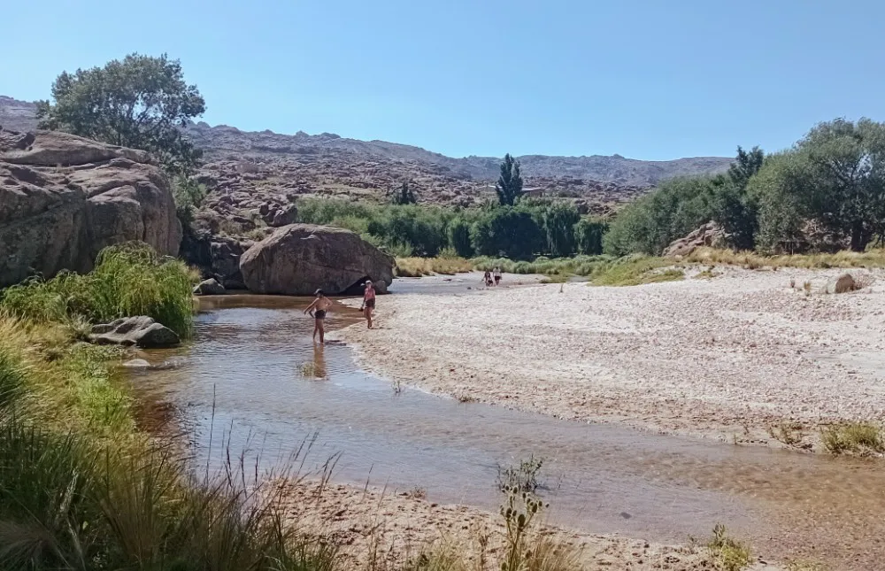 RÍO LOS SAUCES WEB