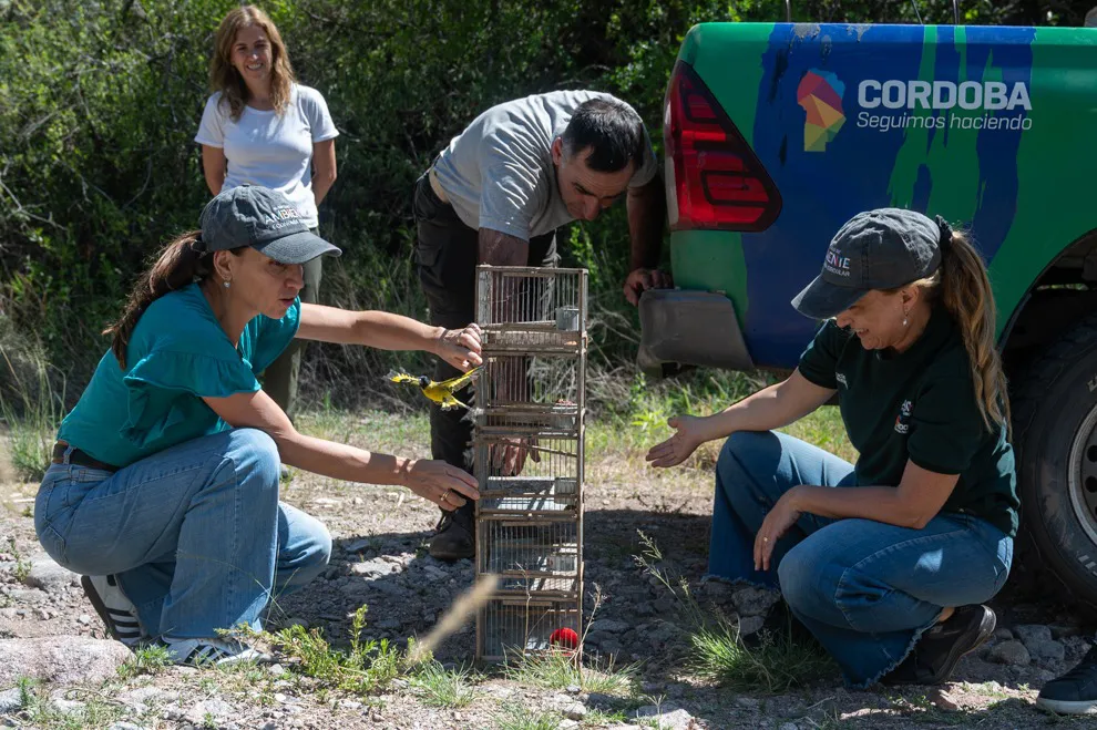 Liberación de aves (Gobierno de Córdoba)