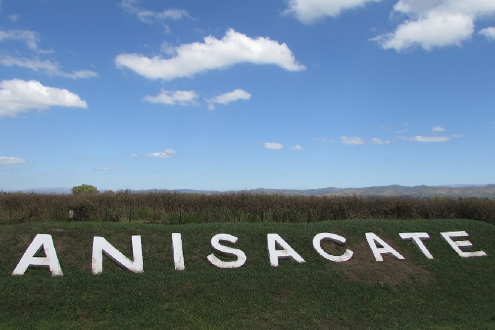 Anisacate