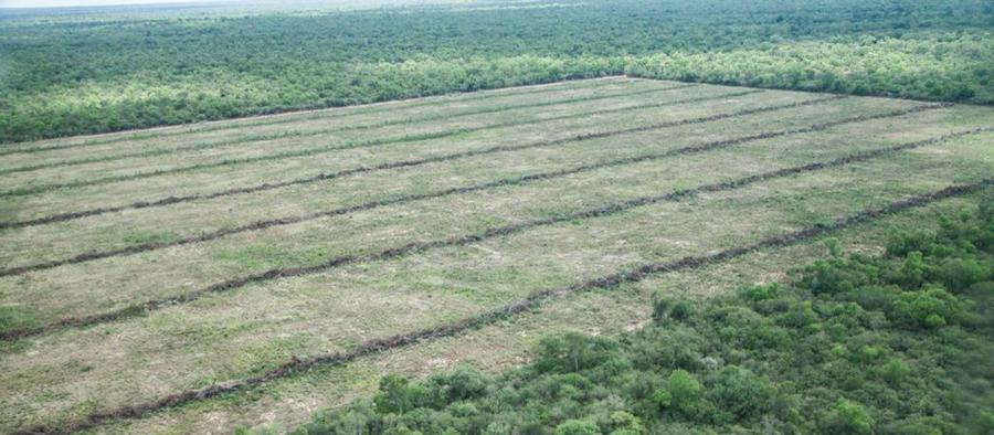 desmontes salta finca cuchuy @elfederal