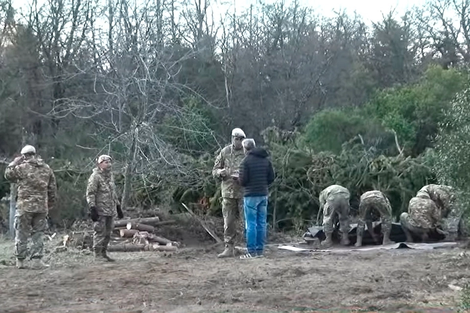Conflicto mapuche por tierras pagina 12