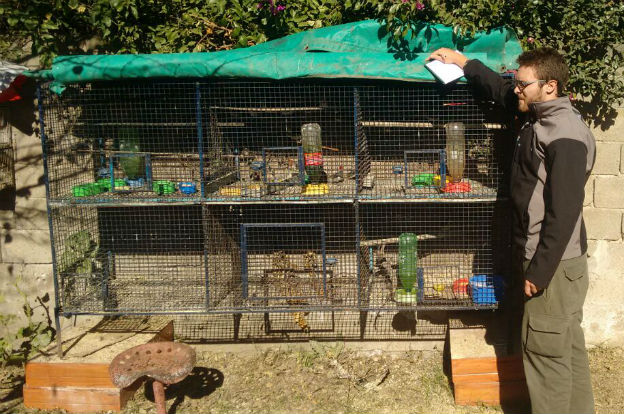 aves rescatadas 1