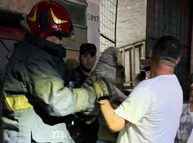 Rescate de perros en incendio de vivienda en Alta Córdoba (Policía)