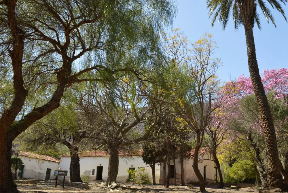 PARQUE NACIONAL TRASLASIERRA1