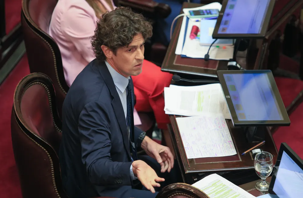 Martín Lousteau en el Senado (NA)
