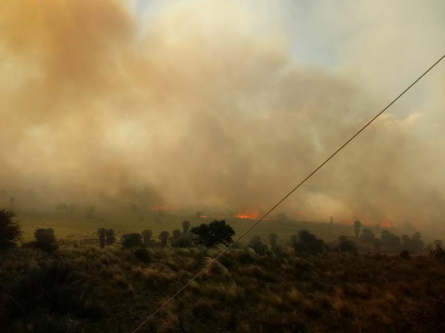 fuego las palmas 2 by @fuegocba