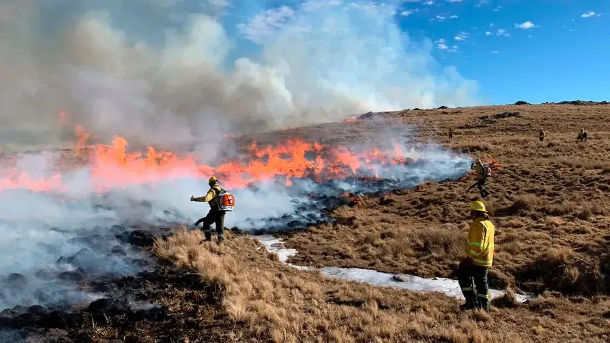 Incendios forestales (gentileza)