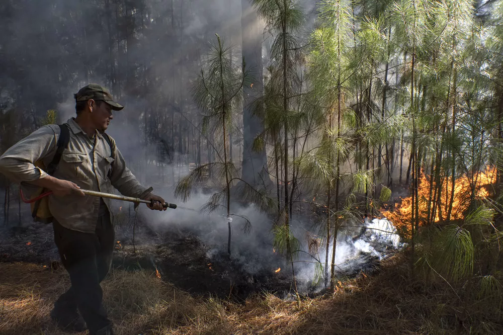 Incendios en Corrientes 2 by Télam