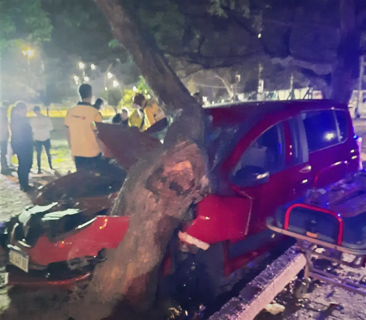 Choque contra un árbol en Valle Escondido, Córdoba (gentileza)