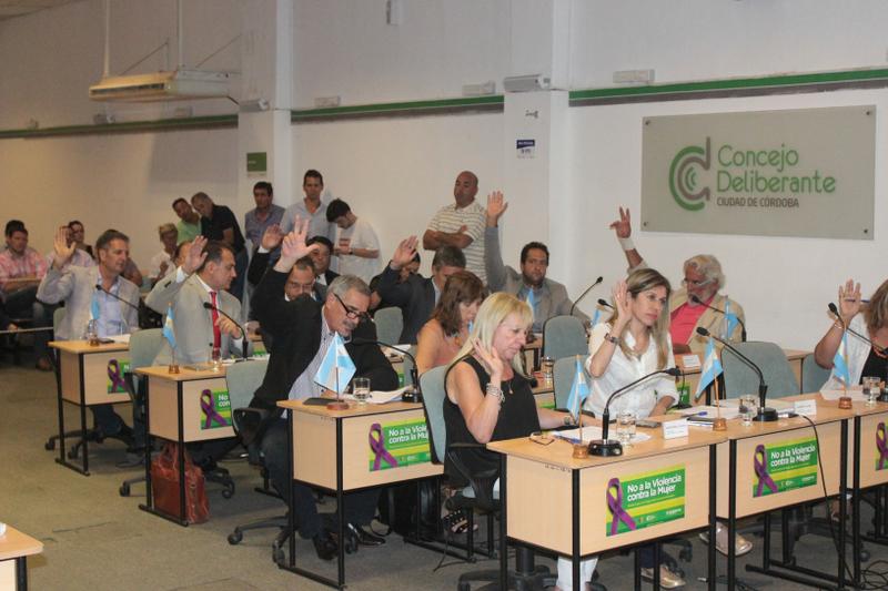 concejo deliberante