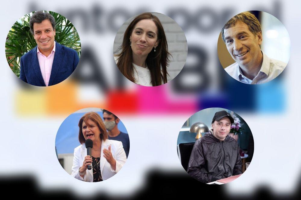 Fichas opocision elecciones