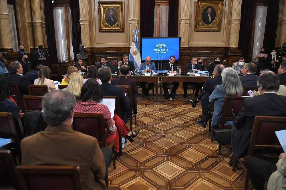 exposición de soriaen senado @telam