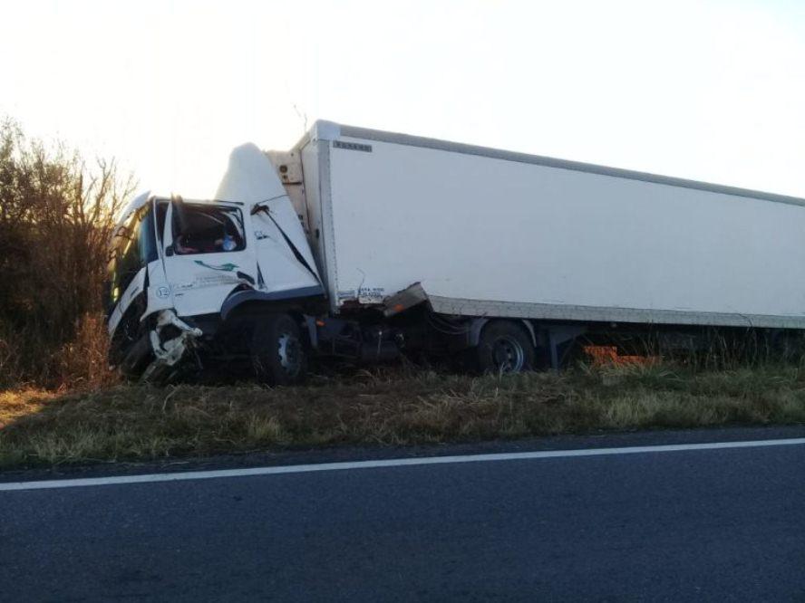 camionero muerto
