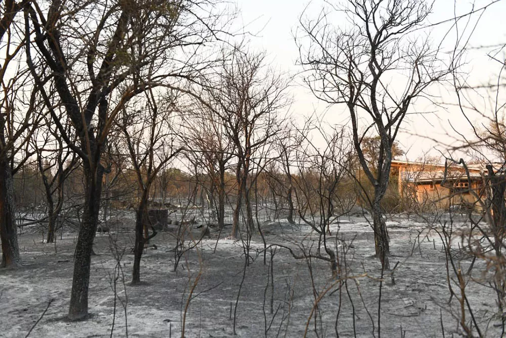 incendio san marcos
