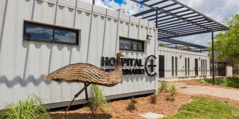 hospital de animales