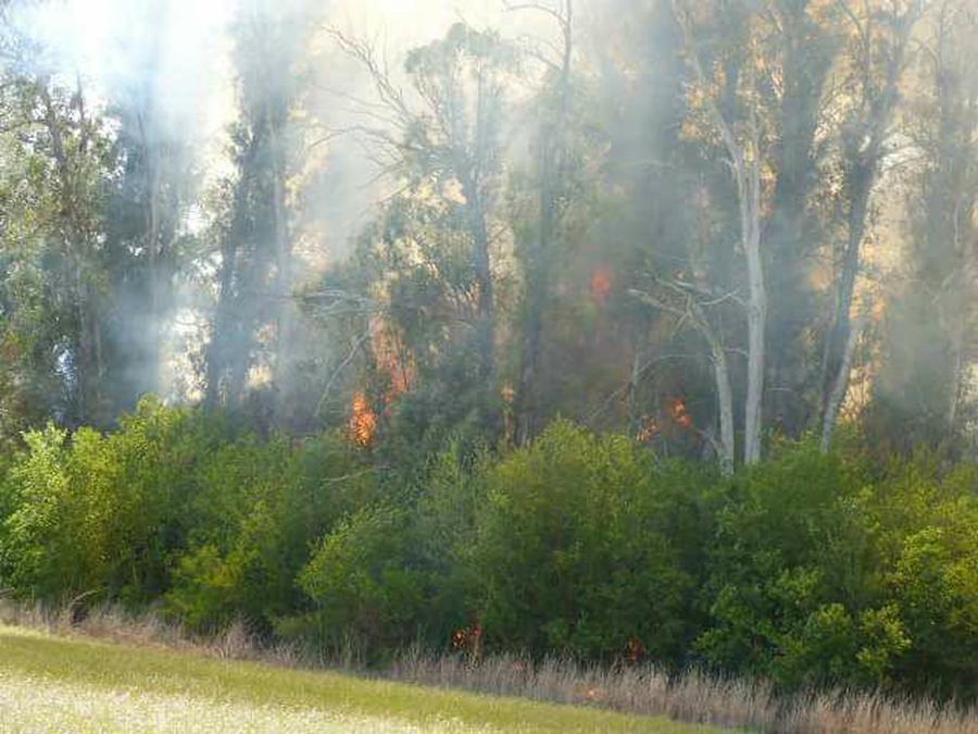 incendio tres acequias