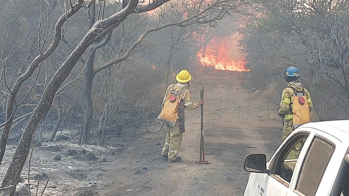 incendio marul diego concha 1
