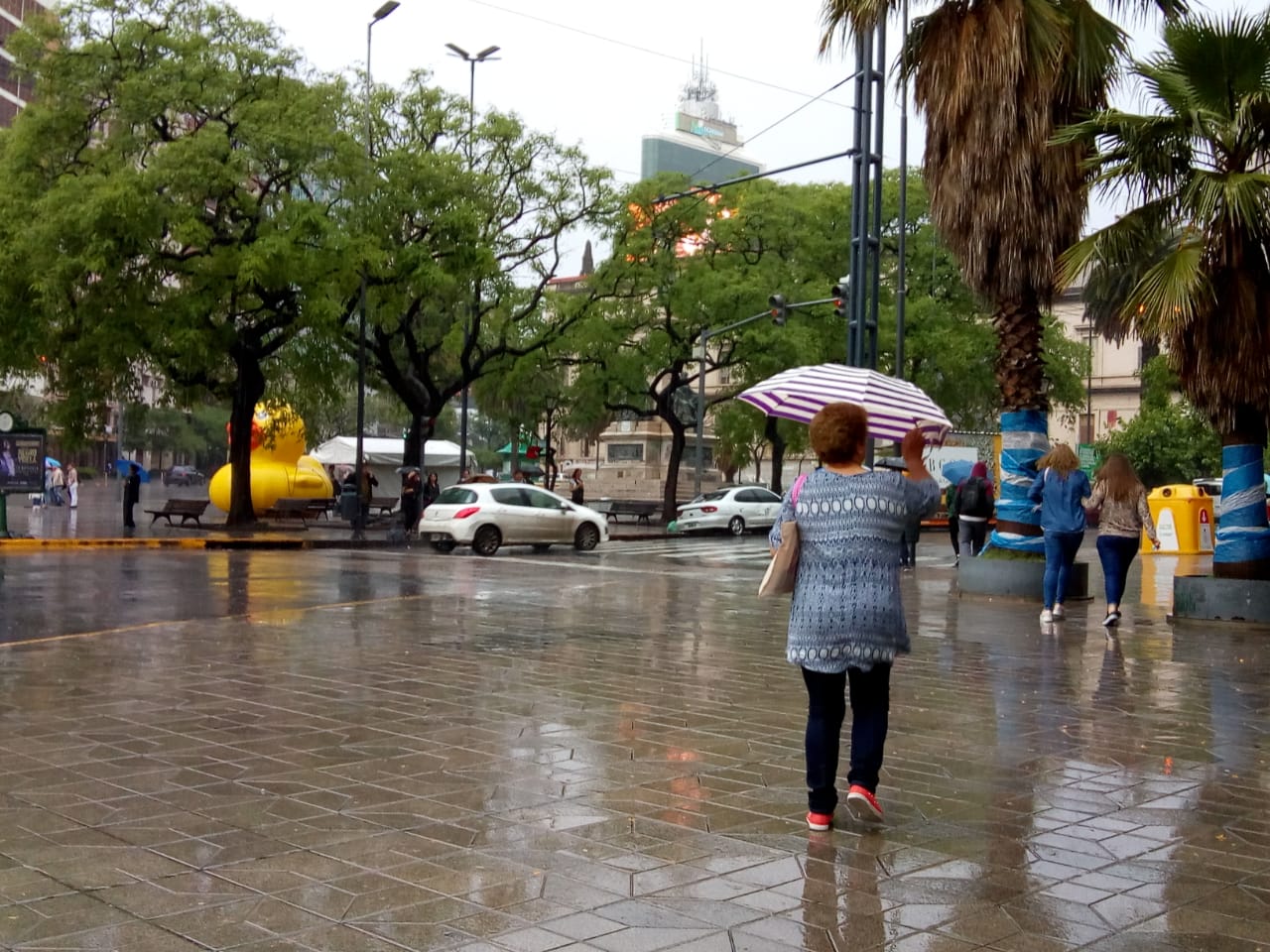 Lluvia tormentas LNM