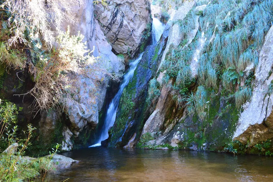 fuente del caminante