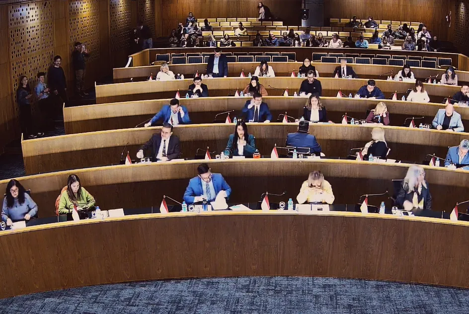 Sesión del Concejo Deliberante (captura)