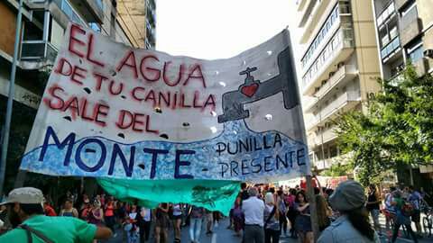 marcha ley de bosques 13