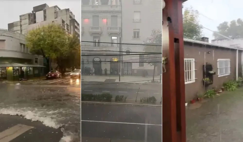 temporal la plata