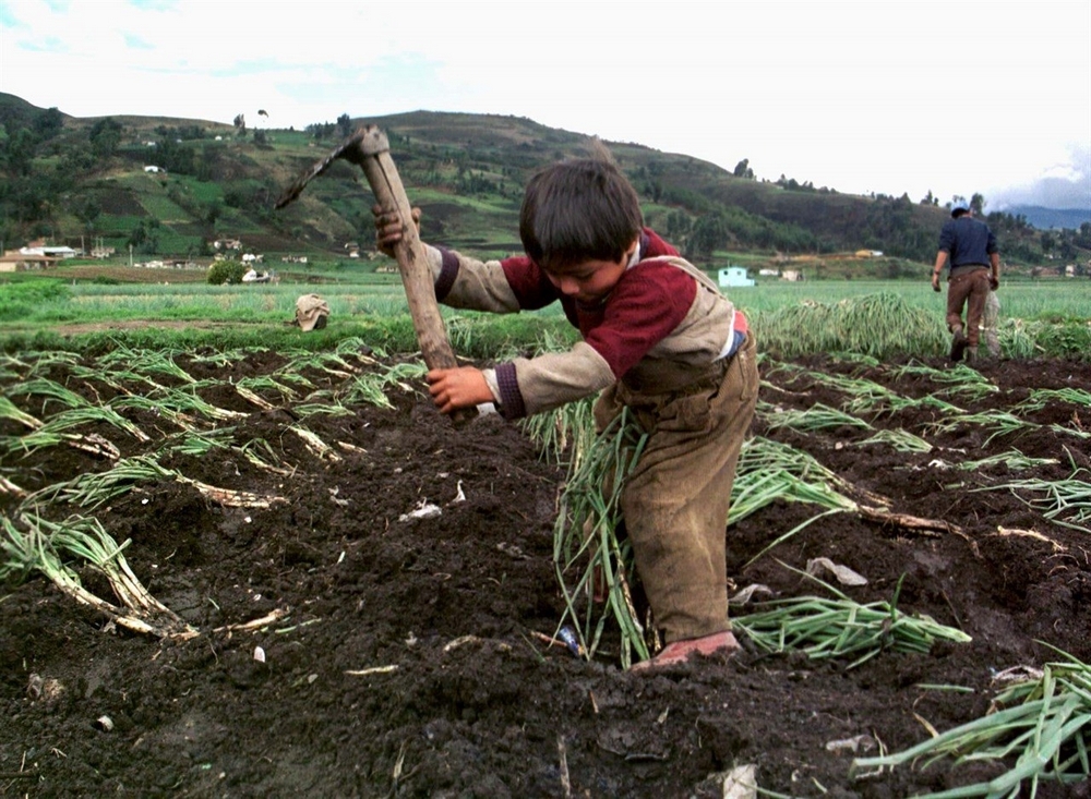 trabajo infantil