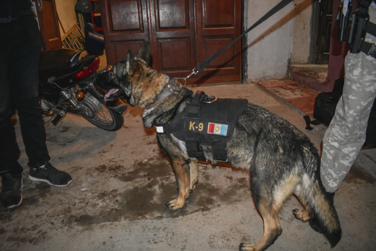 perro fpa