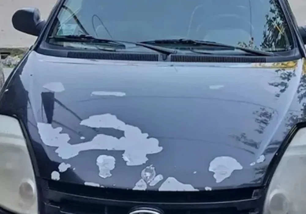 Femicidio de Agostina: detuvieron a la dueña del Ford Ka y suman tres los imputados thumbnail
