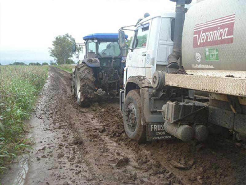 Transportistas lecheros