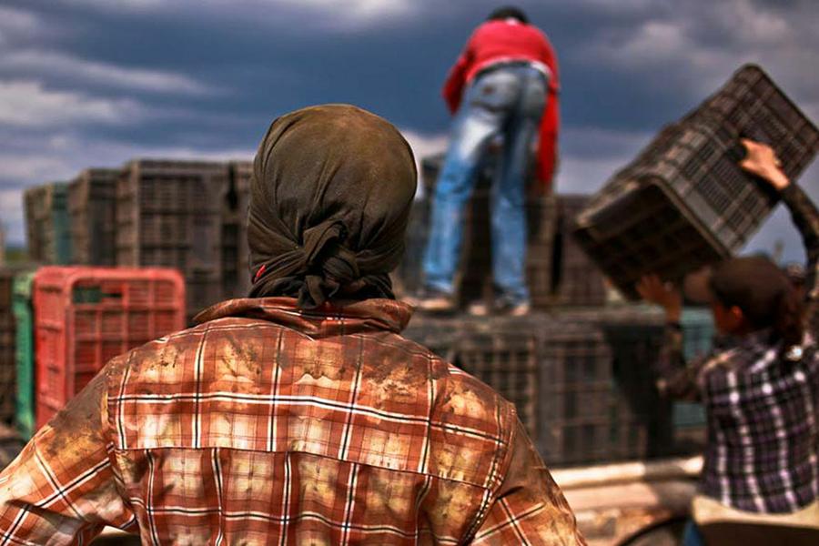 Jornaleros01
