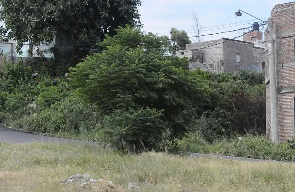 Crimen de barrio Yapeyú (MPF Córdoba)