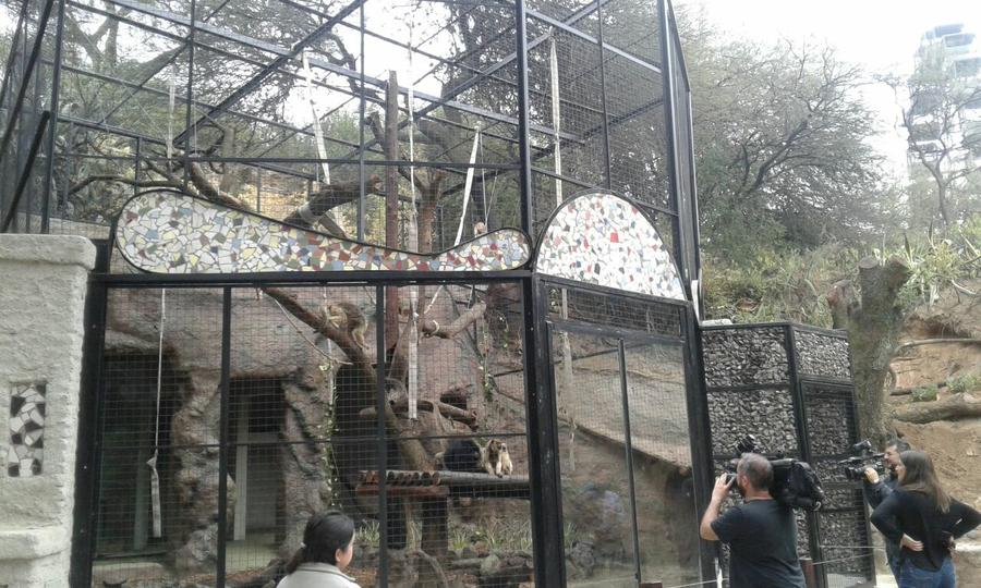zoo foto moni hernandez 3