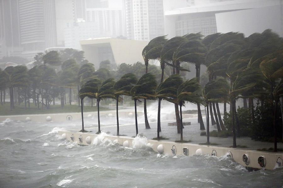 Galeria-Huracan-Irma-Miami-1 _ AP