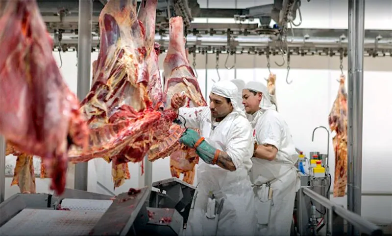 Trabajadores carniceros (Mundo Gremial)