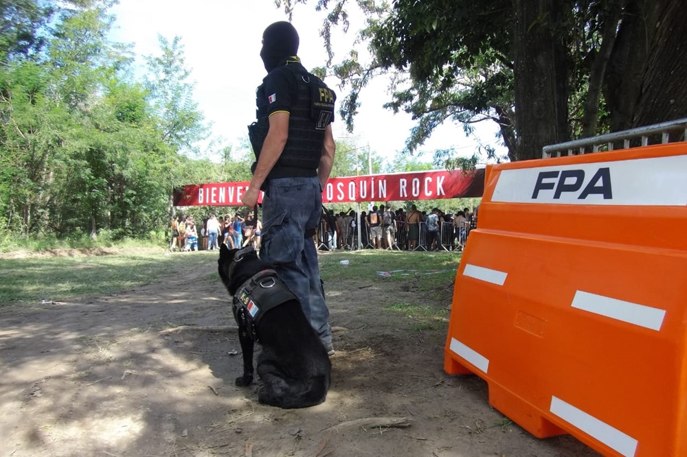 fpa cosquin rock
