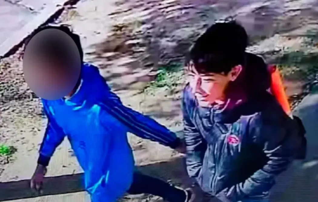 Captura de pantalla  cámara seguridad Joaquin Laboulaye