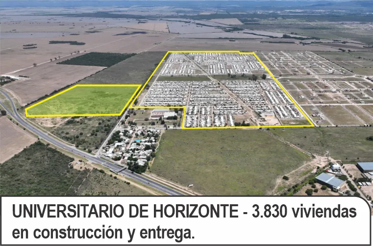 UNIVERSITARIO