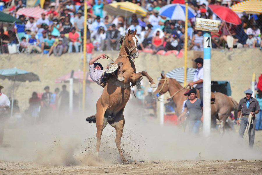 XXII Fiesta Nacional del Cordero (3)