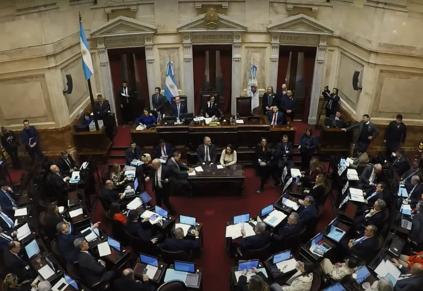 Cámara de Senadores de la Nación (captura)