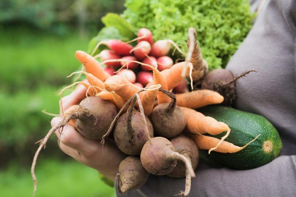 huerta-para-web