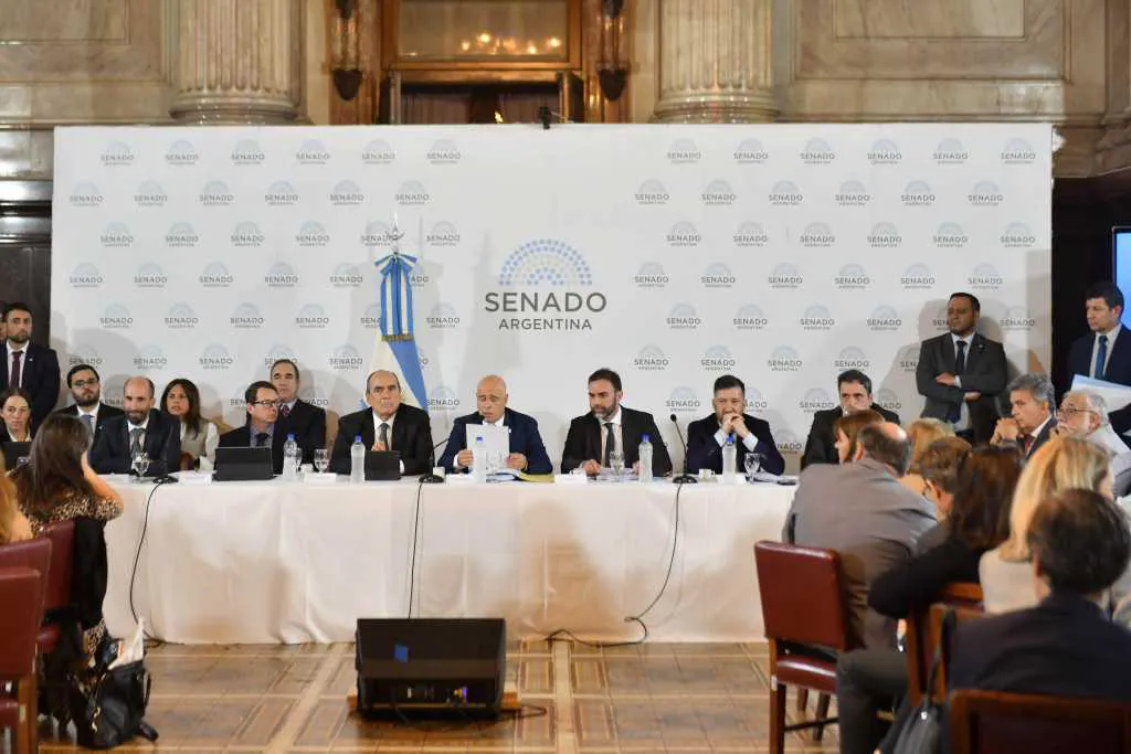 Plenario de Comisiones Senado Ley Bases NA