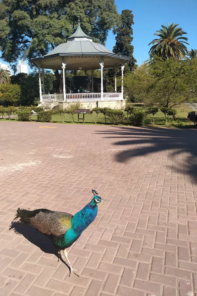 Paseos porteños00005