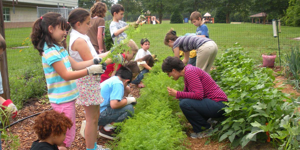 ALUMNOS HUERTA