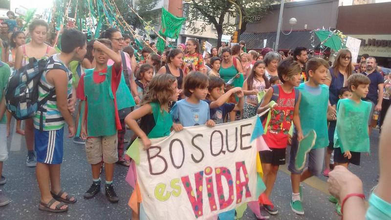 ley de bosques00